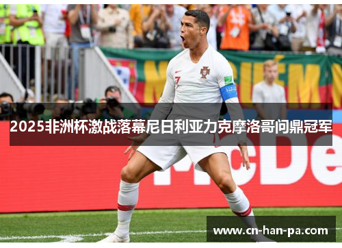 2025非洲杯激战落幕尼日利亚力克摩洛哥问鼎冠军